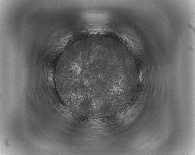 X0000096491396200802071932