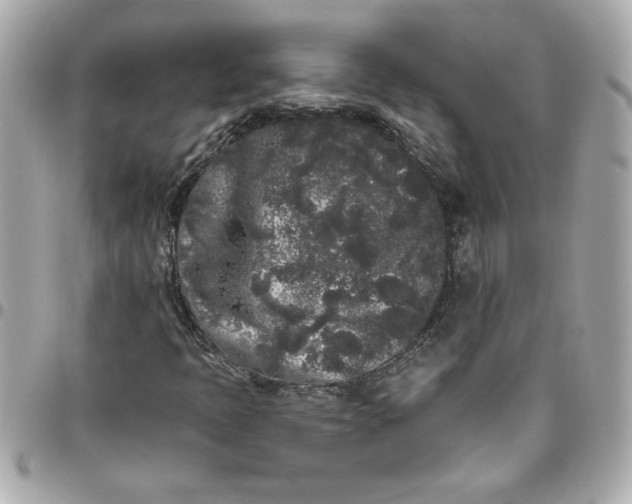 X0000096491397200802071932