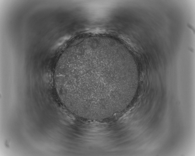 X0000096491398200802071932