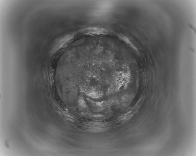 X0000096491399200802071932