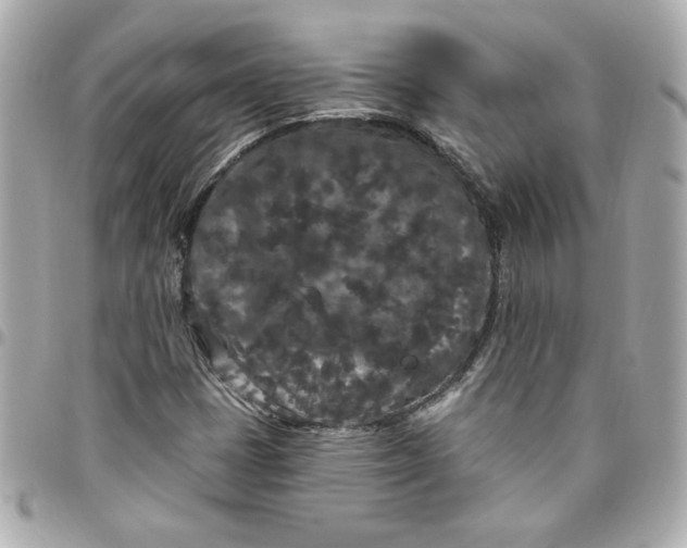 X0000096491401200802071932