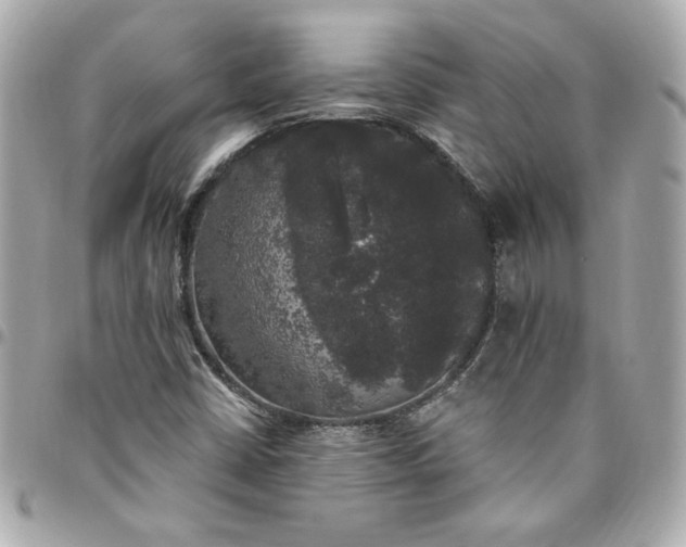 X0000096491402200802071932