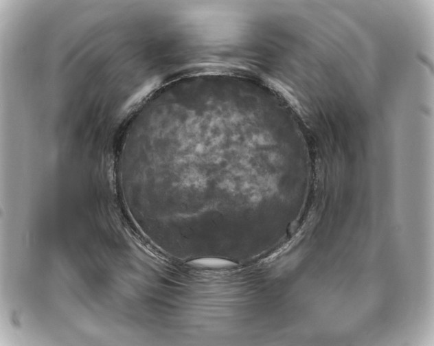 X0000096491403200802071932