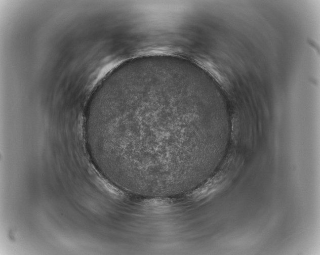 X0000096491404200802071932