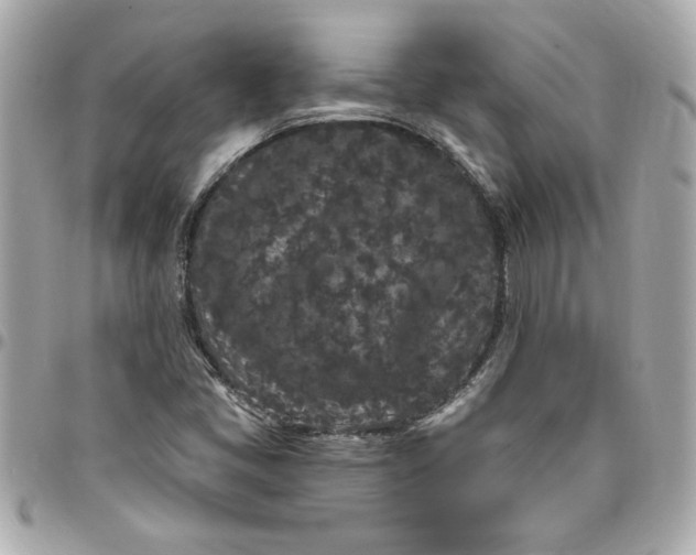 X0000096491405200802071932