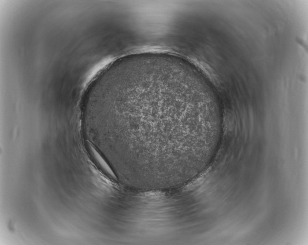 X0000096491406200802071932