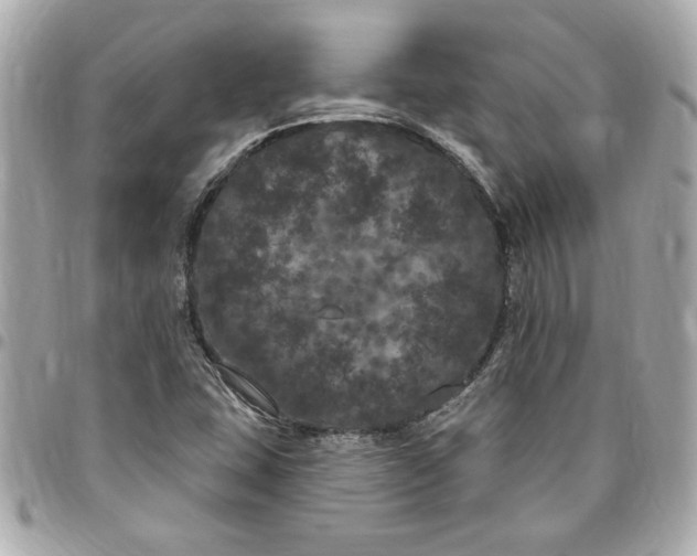 X0000096491407200802071932