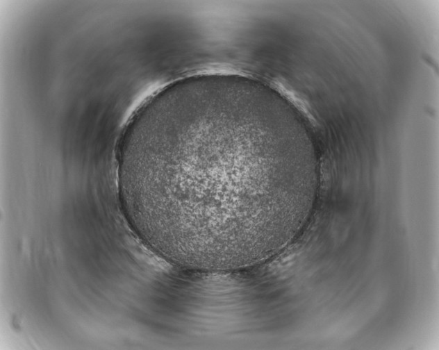 X0000096491408200802071932