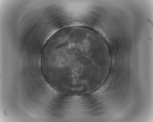 X0000096491409200802071932