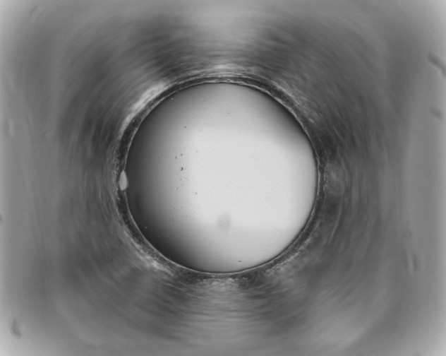 X0000096491410200802071932