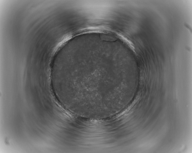 X0000096491411200802071932