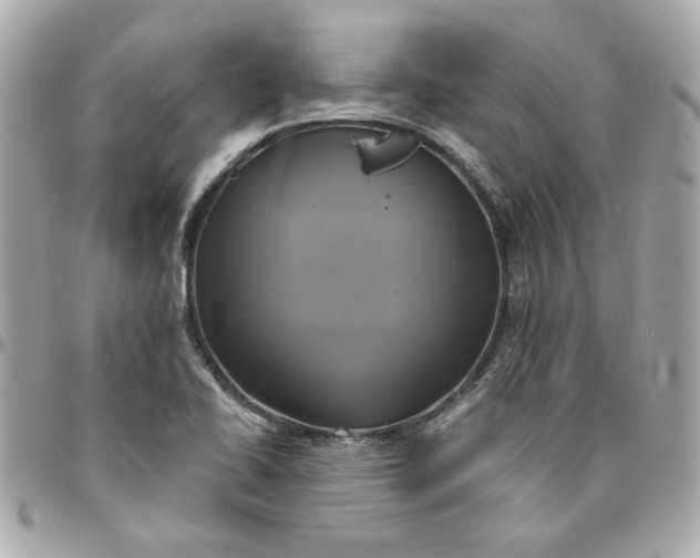 X0000096491414200802071932