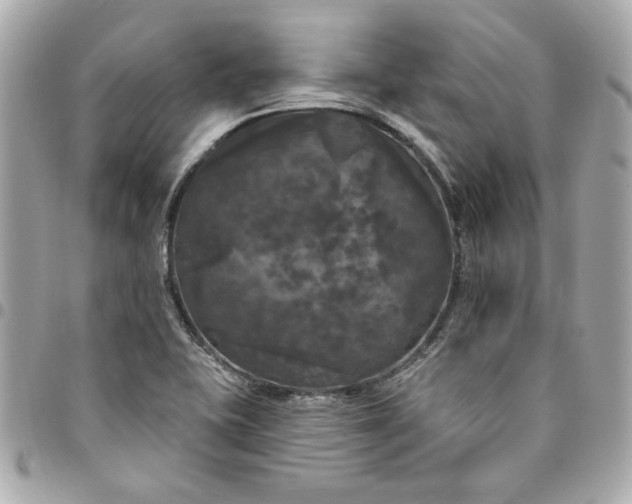 X0000096491415200802071932