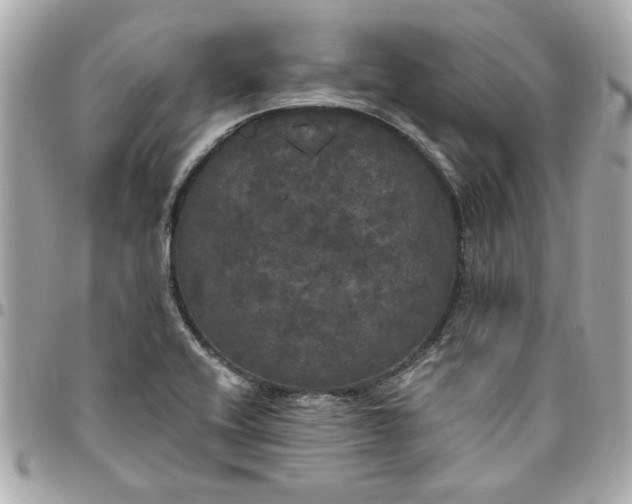 X0000096491416200802071932