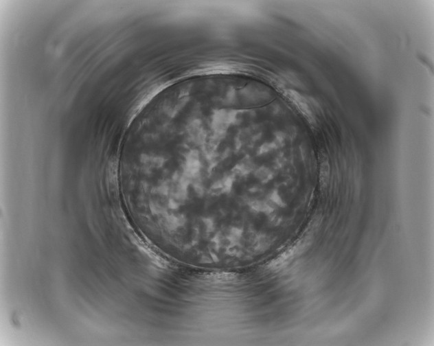 X0000096491417200802071932