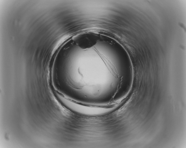 X0000096491418200802071932