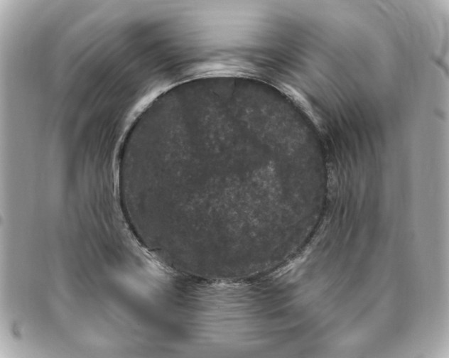 X0000096491419200802071932