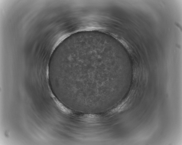 X0000096491420200802071932