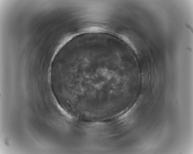 X0000096491421200802071932