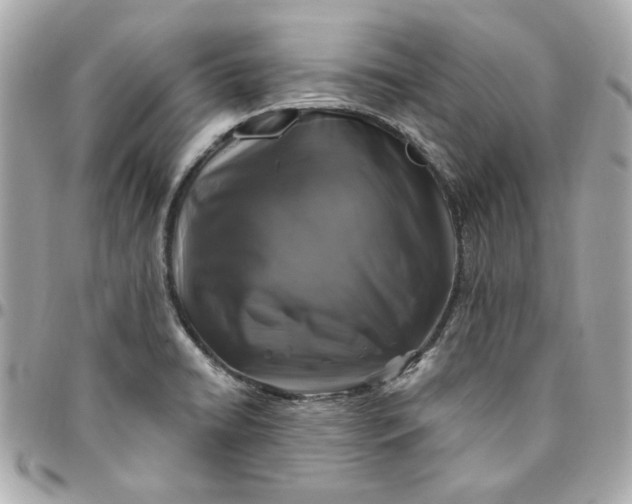 X0000096491422200802071932