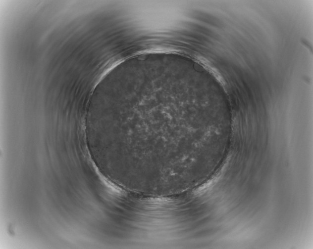 X0000096491425200802071932