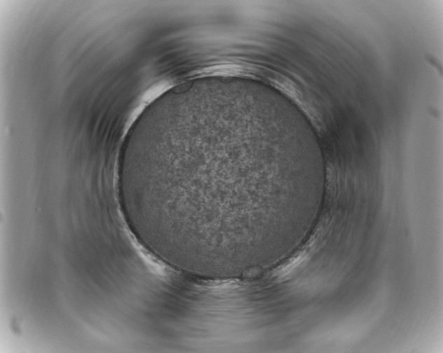 X0000096491426200802071932