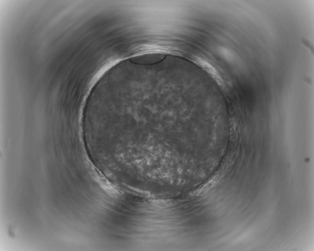 X0000096491427200802071932