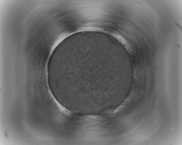 X0000096491430200802071932