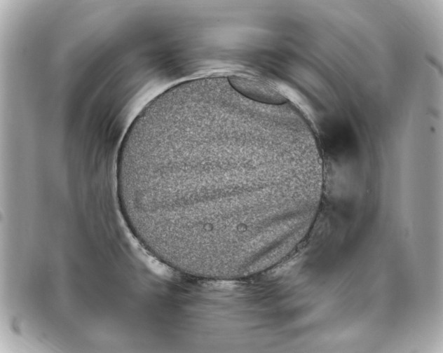 X0000096491431200802071932