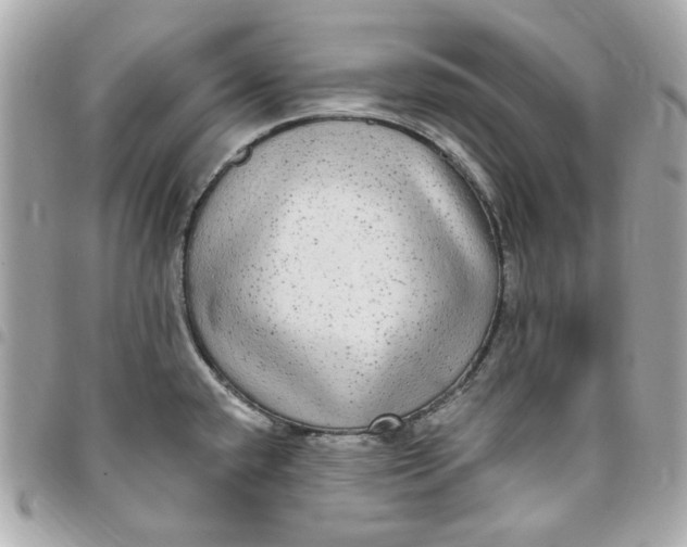 X0000096491432200802071932