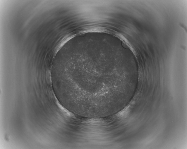 X0000096491433200802071932