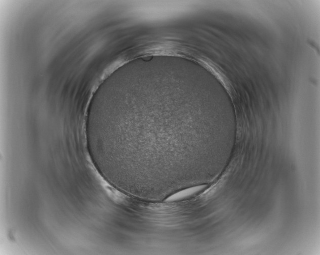 X0000096491434200802071932