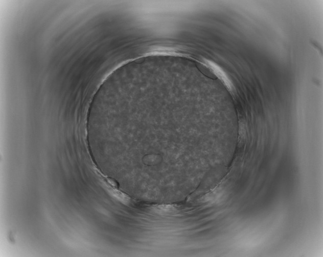 X0000096491435200802071932