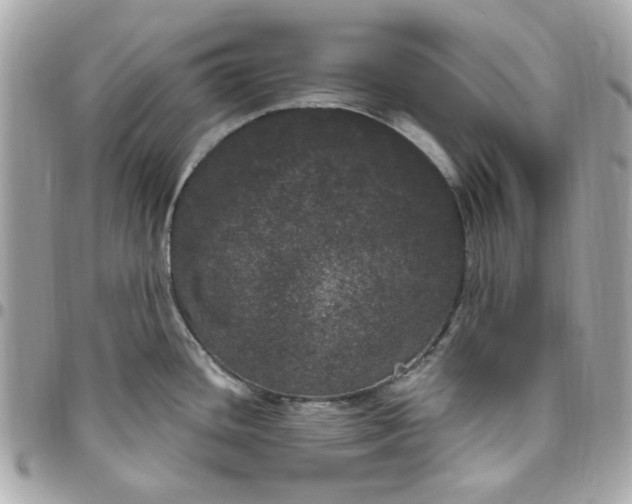 X0000096491436200802071932