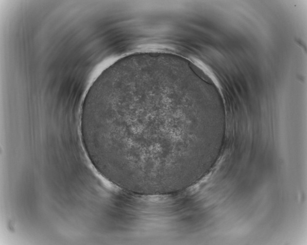 X0000096491437200802071932