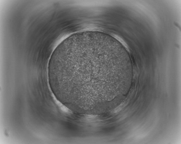 X0000096491439200802071932