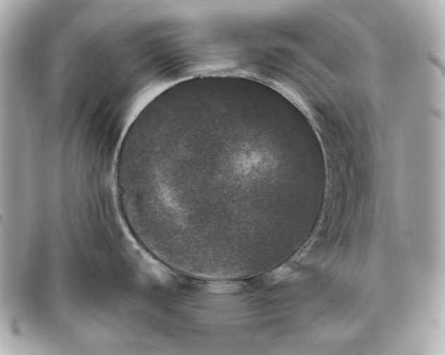 X0000096491440200802071932