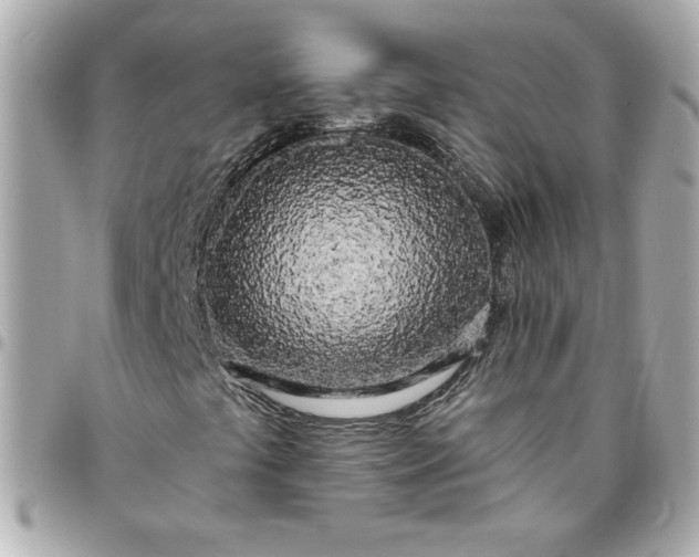 X0000096491441200802071932