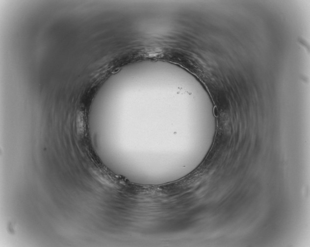 X0000096491442200802071932