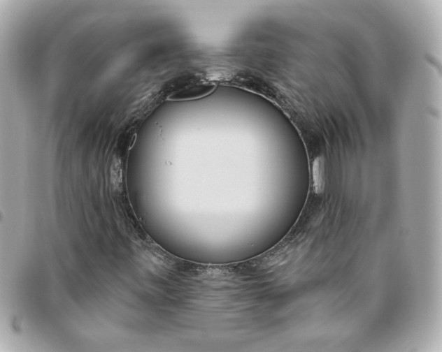 X0000096491443200802071932