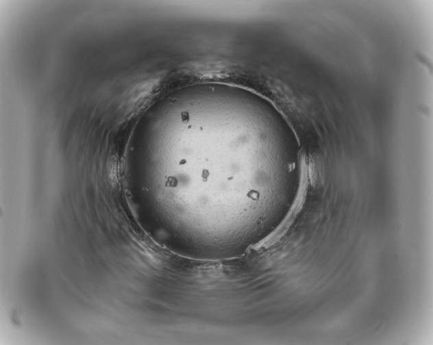 X0000096491444200802071932