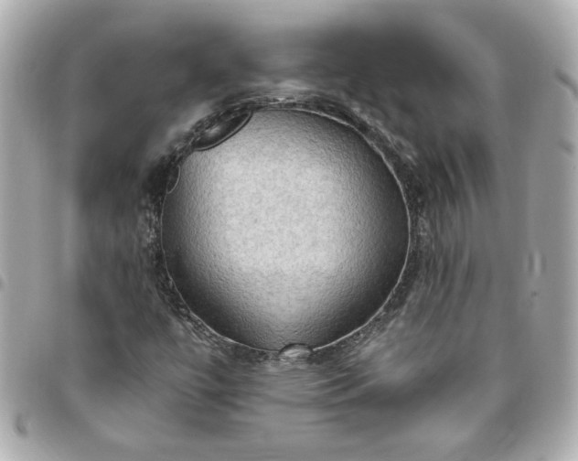 X0000096491447200802071932