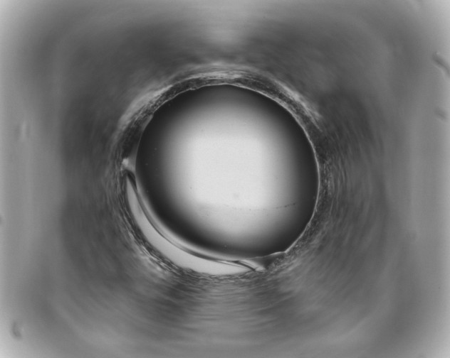 X0000096491448200802071932