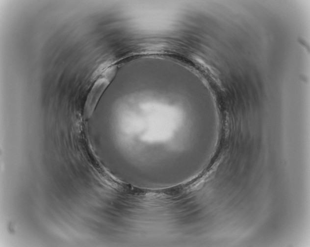 X0000096491449200802071932