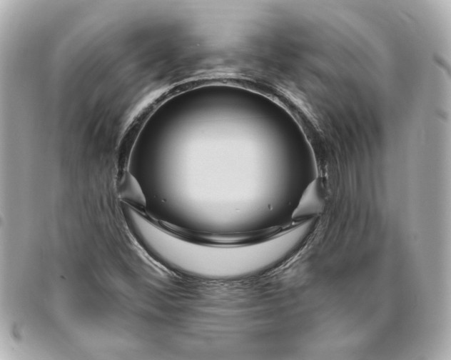 X0000096491452200802071932