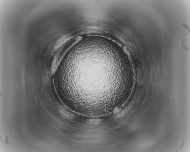 X0000096491453200802071932