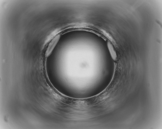 X0000096491456200802071932