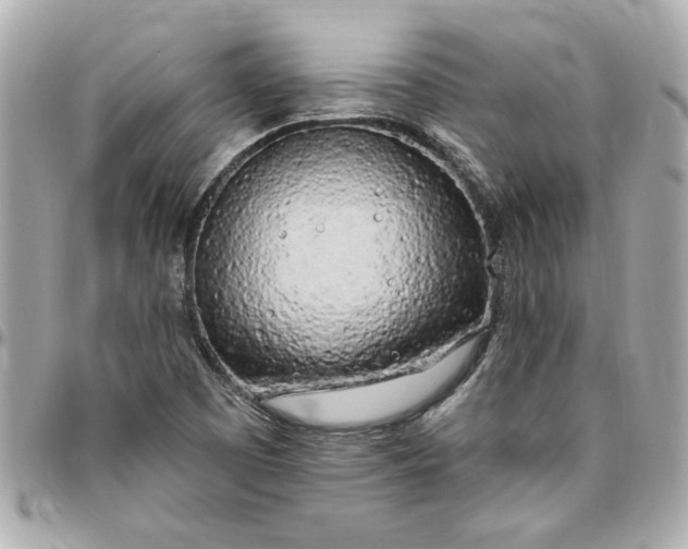 X0000096491457200802071932