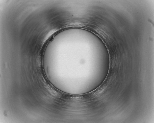 X0000096491458200802071932