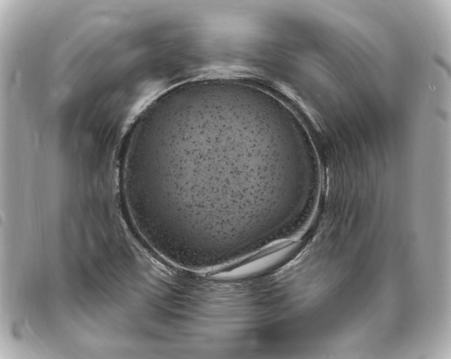 X0000096491459200802071932